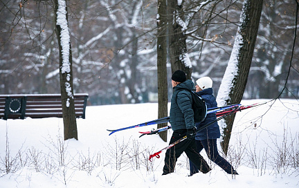 Лыжные прогулки в парке «Останкино»