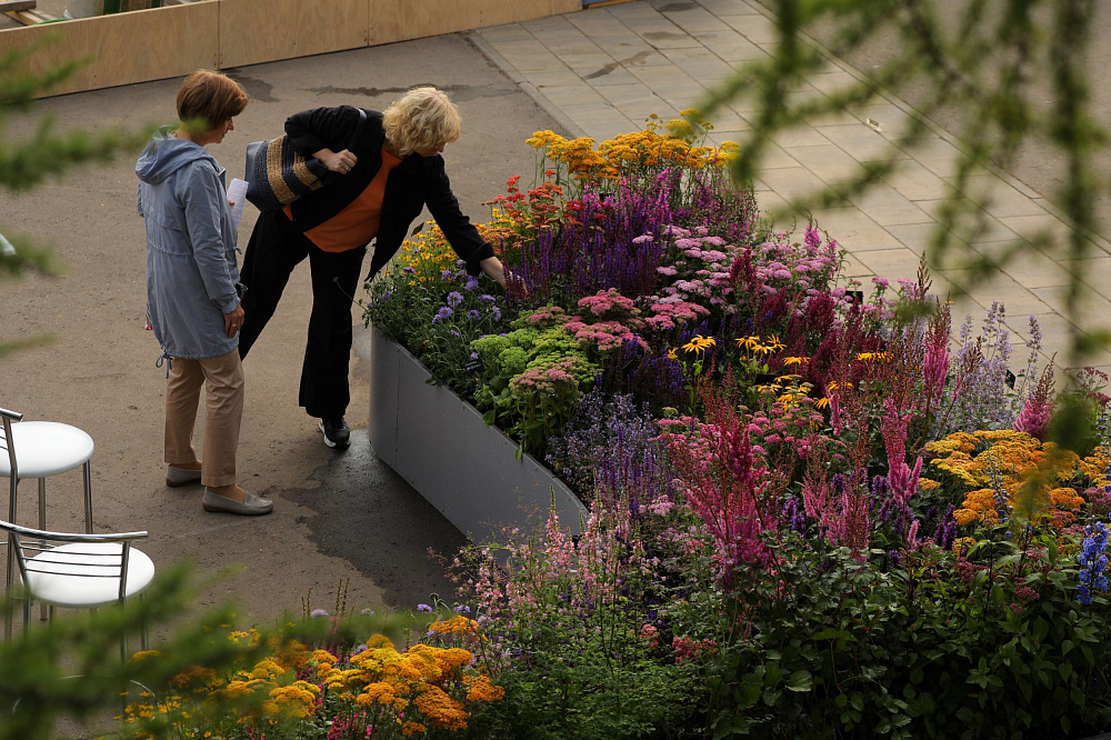 Выставка цветов в Челси - Chelsea Flower Show 2010