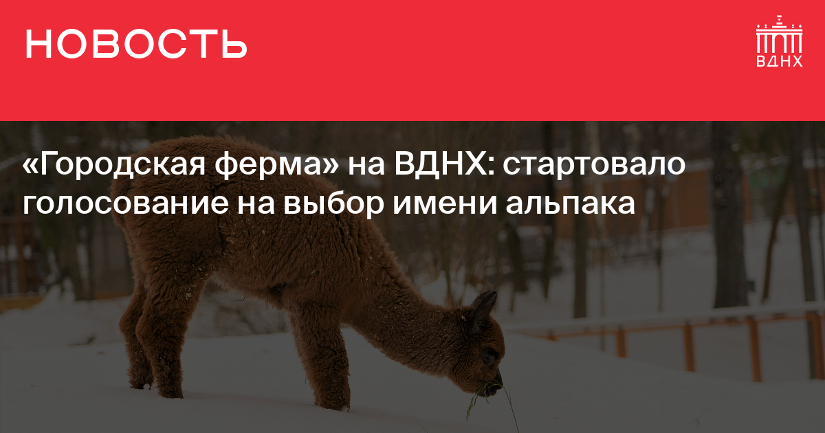 Городская ферма на вднх карта