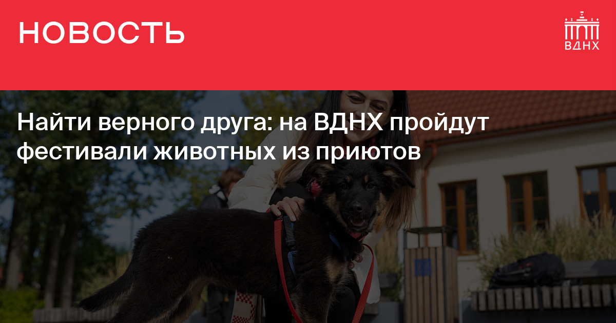 Карта лояльности вднх друзья вднх