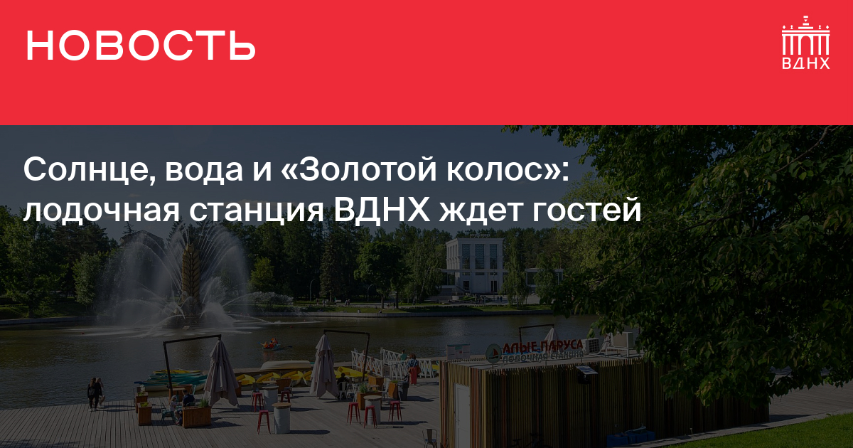 В Новороссийске и Москве запутались, кого наказывать за показ порно на Садовом кольце