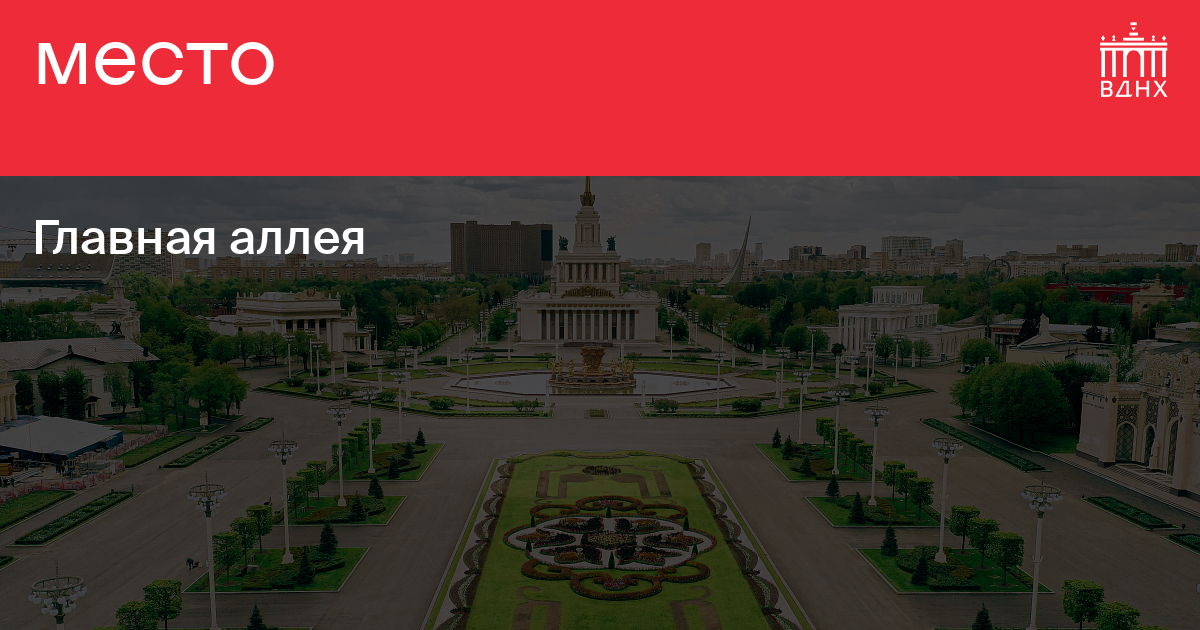 Центр аллея. Центр аллея