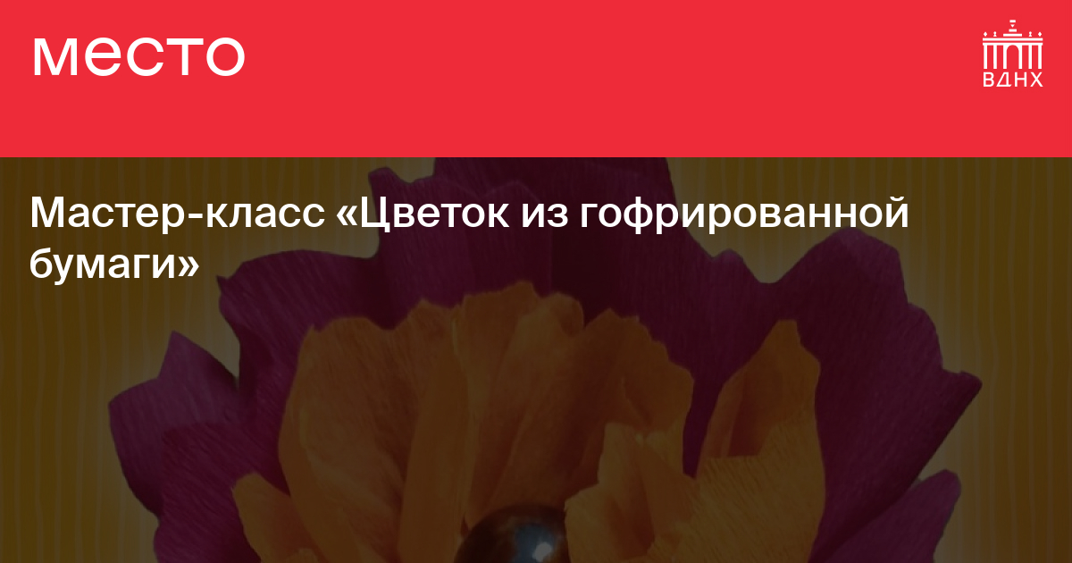 Мастер-класс «Цветок из гофрированной бумаги» на ВДНХ